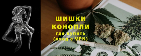 мяу мяу мука Бородино