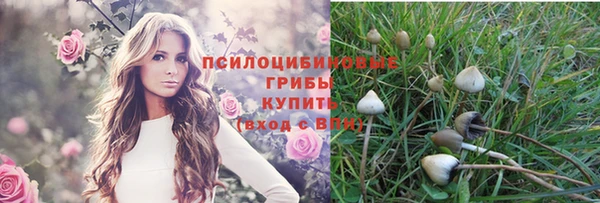 молекула духа Бугульма