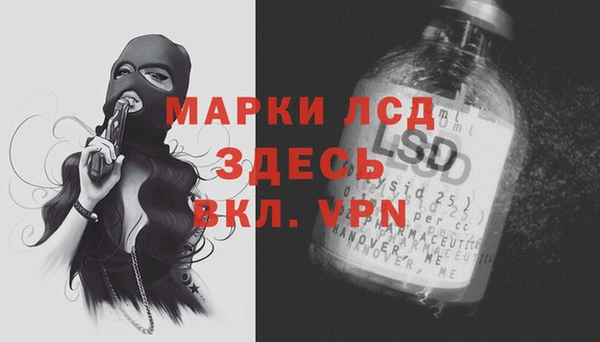 мяу мяу мука Бородино