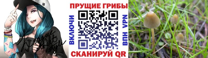 Галлюциногенные грибы мухоморы  Завитинск 
