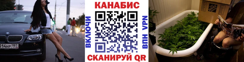 закладка  нарко площадка состав  Бошки марихуана индика  Завитинск 